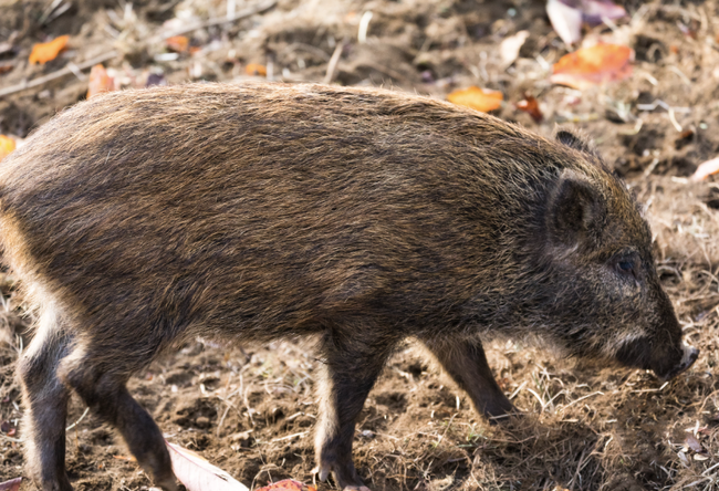 スクリーンショット 2025-02-11 22.20.54