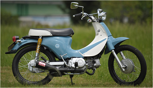 cub_01