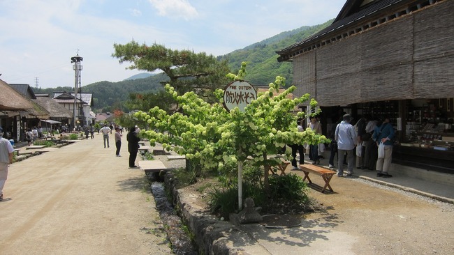 え