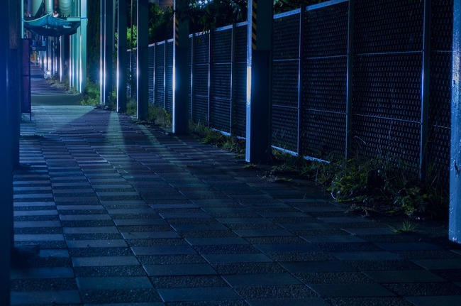 NAT93_hikarinosasu_TP_V