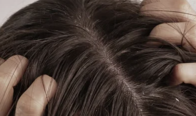 スクリーンショット 2025-03-07 16.34.04