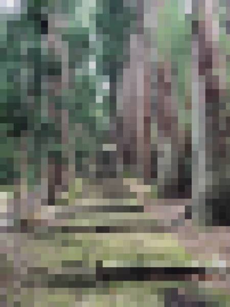 TMfwQzw