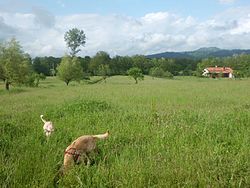 Campo_sfondo_valle