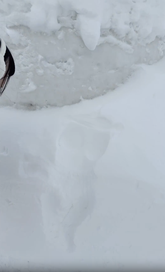 スクリーンショット 2026-01-28 17.12.24