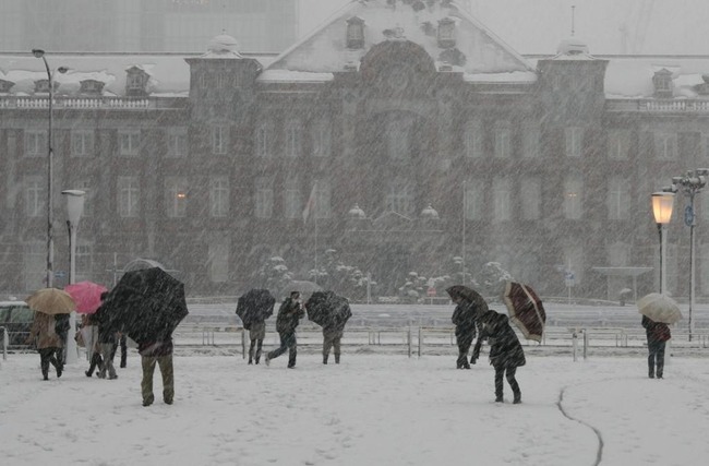 21g84i9kalqdmb521gocmb521g84210