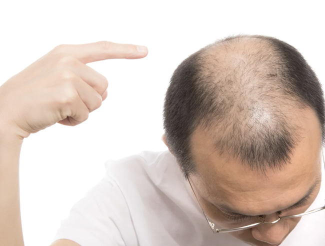 スクリーンショット 2024-12-13 18.46.40