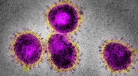 coronavirus-getty