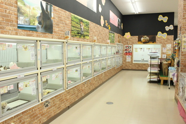 d282380768b0402a002bb95d4140983d