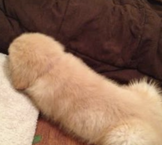 スクリーンショット 2024-12-25 18.22.58