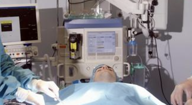 スクリーンショット 2024-11-20 19.13.59