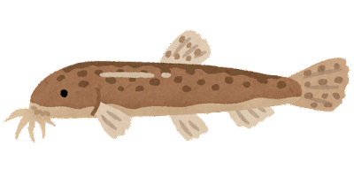 fish_dojou