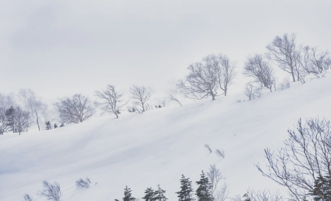 スクリーンショット 2024-12-28 15.25.56