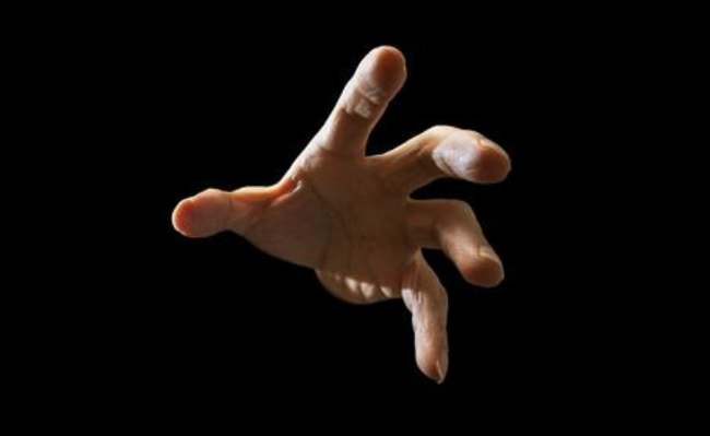 スクリーンショット 2024-12-22 12.33.39