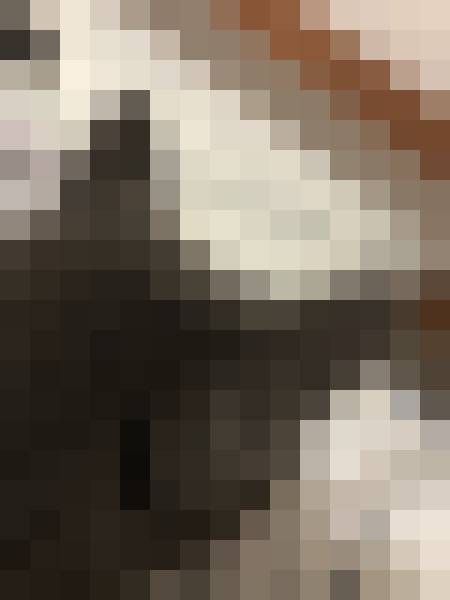 LHXE6uC
