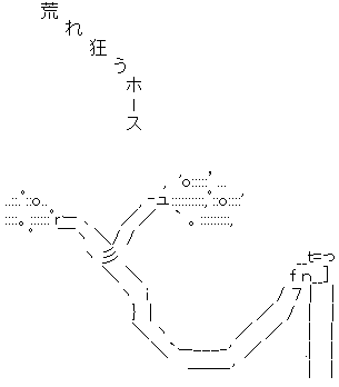 AA_142831384533437000