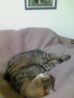 8e0d6197fd6f9840c9c4d1181cfa5aba