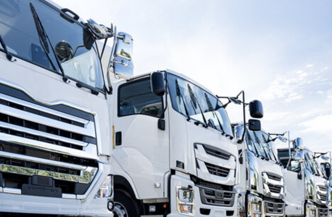 スクリーンショット 2024-11-25 14.21.16