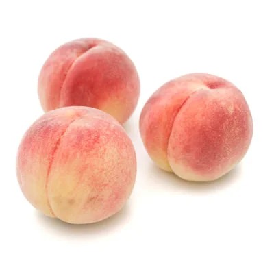 9bf365a0-024c-4e47-b723-7cdce3b3488d