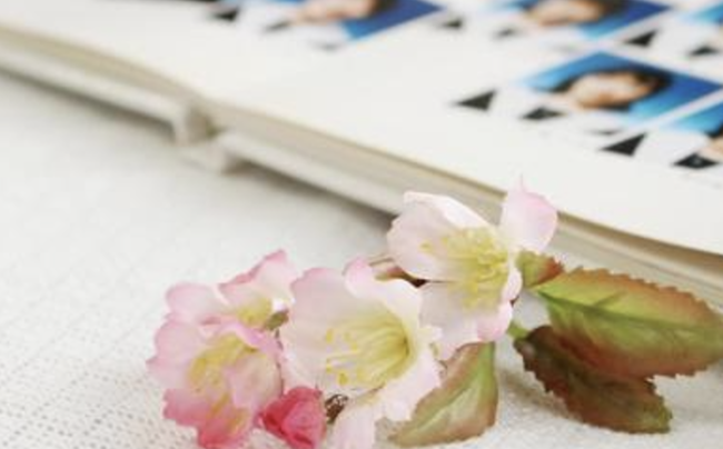 スクリーンショット 2024-11-21 20.06.12