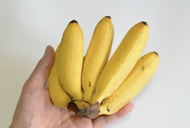 スクリーンショット 2025-01-23 22.55.11