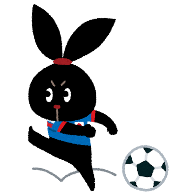 pyoko6_soccer