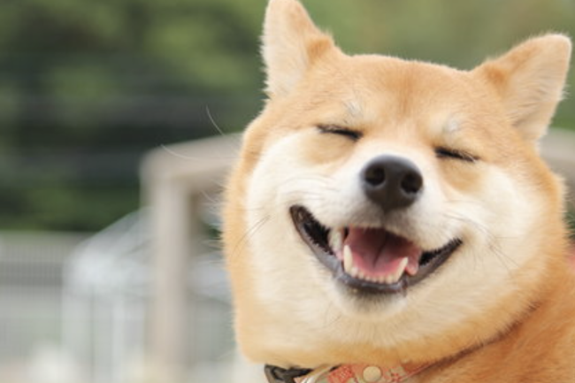 スクリーンショット 2025-01-18 13.32.07