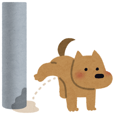 pet_dog_oshikko