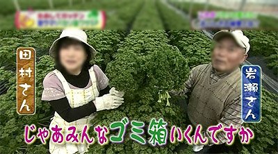 N4t76hD