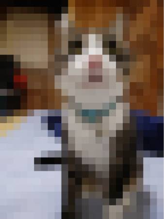 ArnPGiV