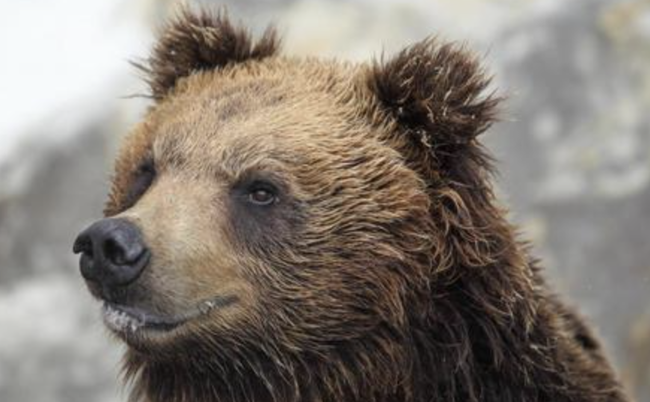 スクリーンショット 2025-01-12 2.21.04