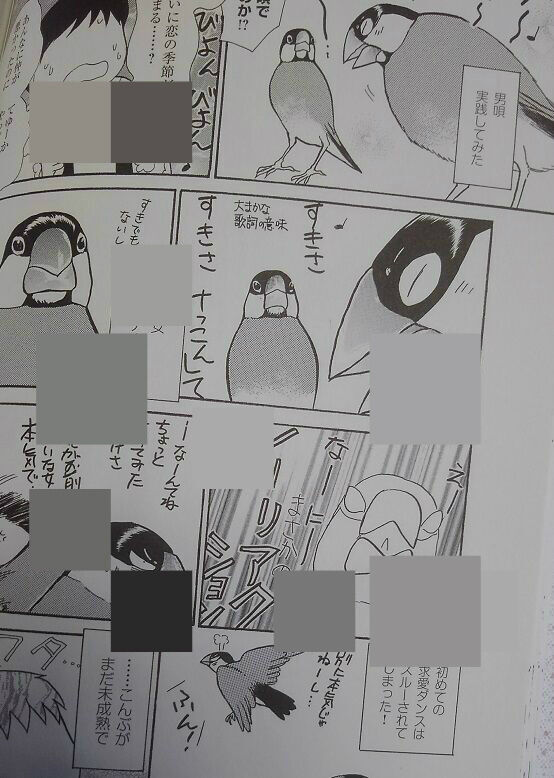 文鳥様と私(20)」 「とりぱん(26)」」 : Keikoと小鳥日記