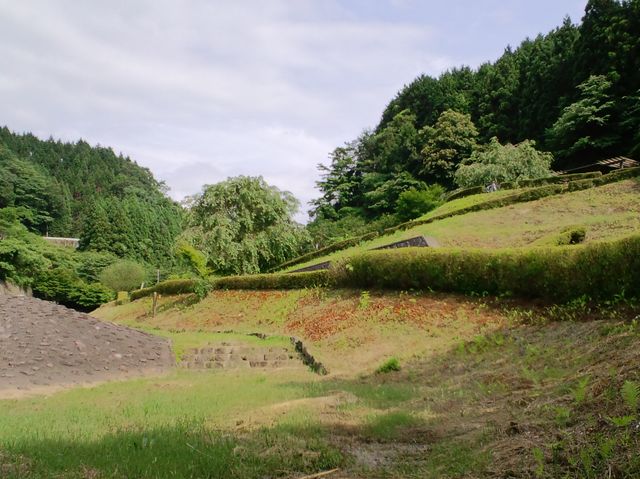イメージ 3