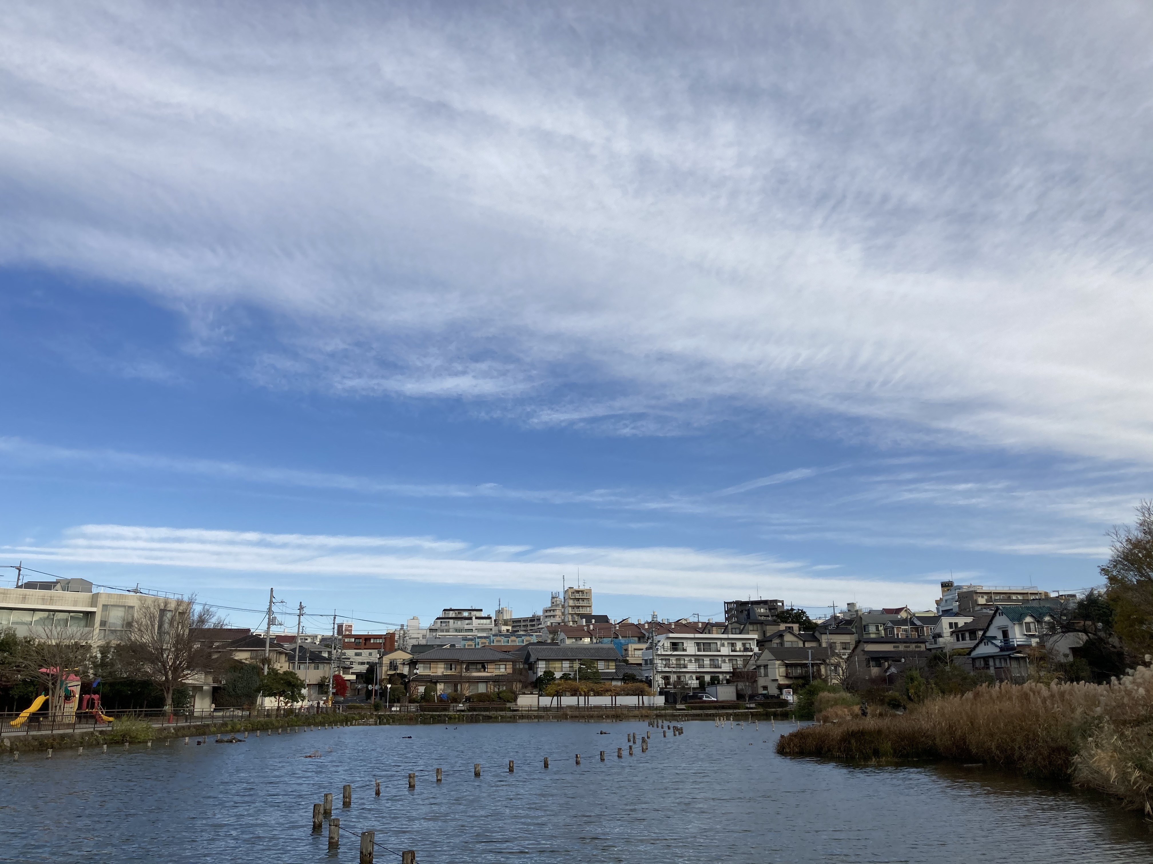 天気予報を信じて Penpenさんちの鳥撮りblog