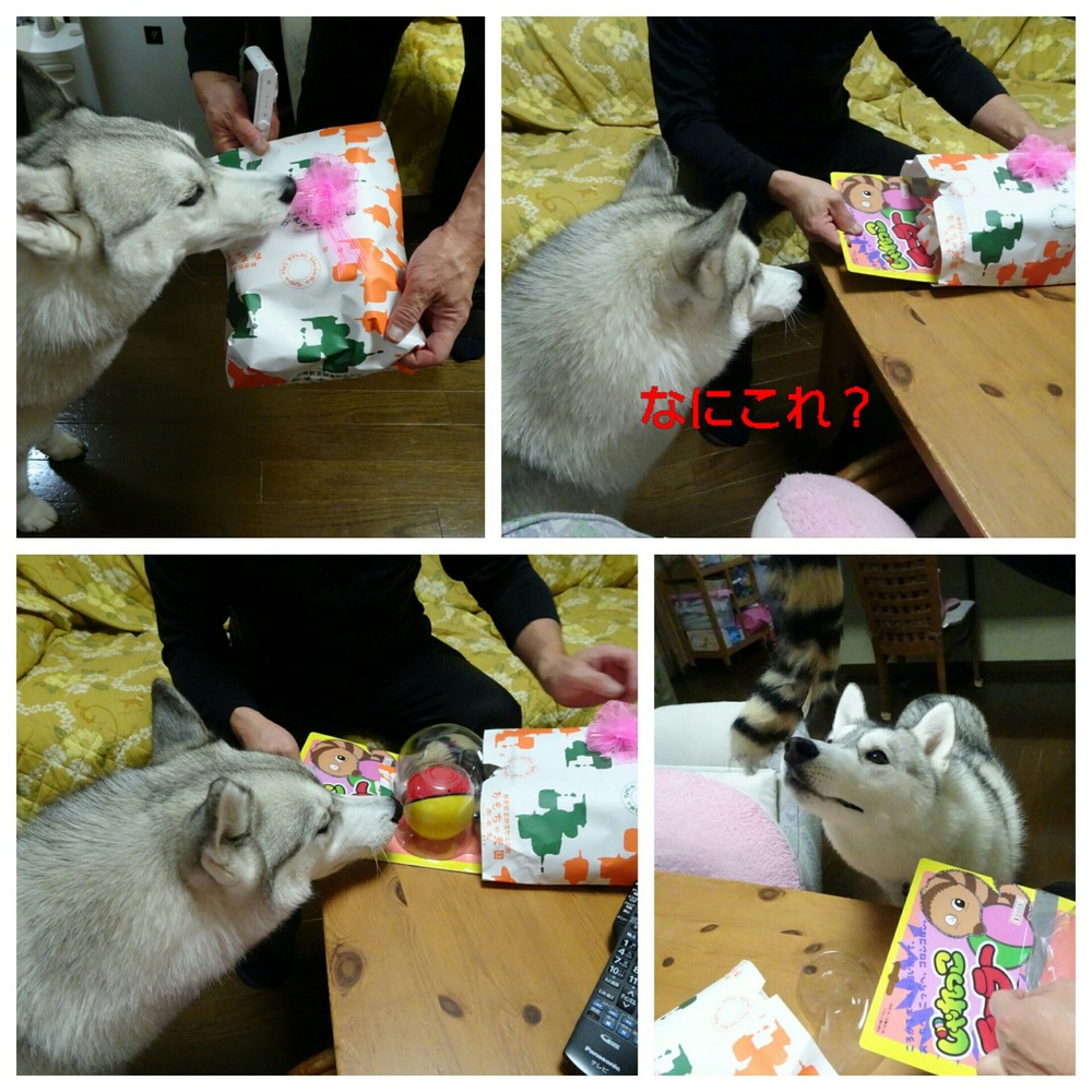 Fotor_154780883967950