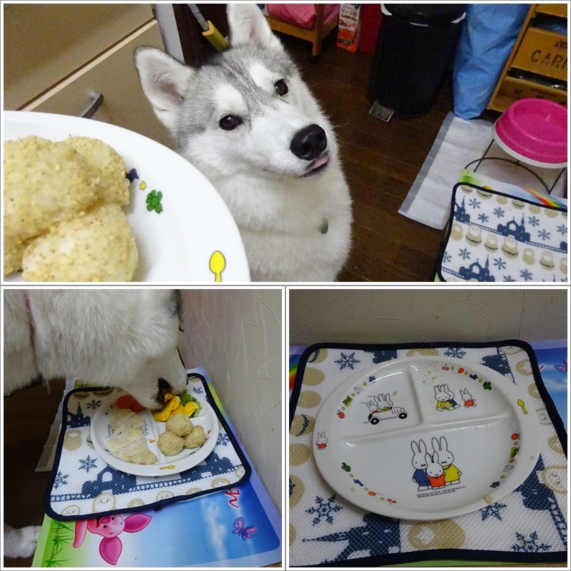 ゆんのお下がり