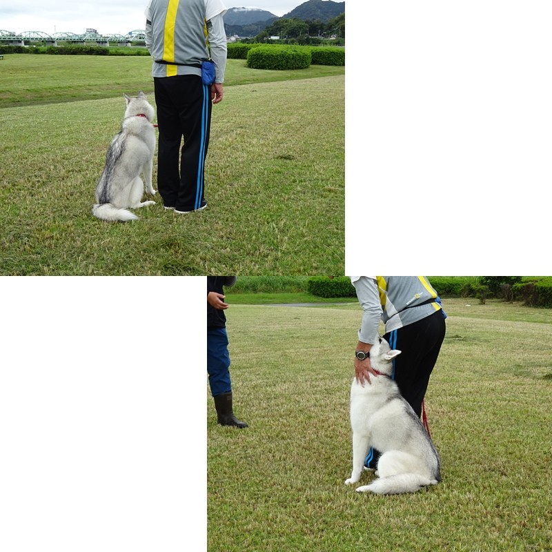 ２回目のトレーニング