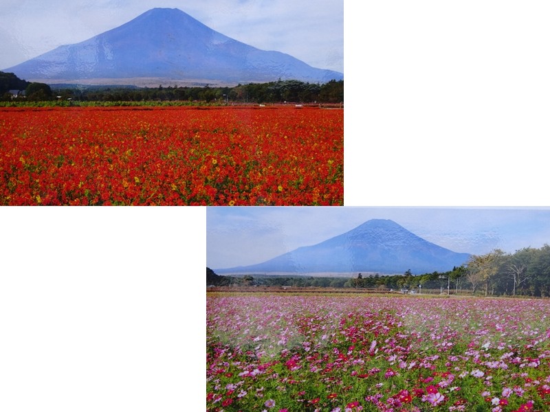晴れていれば