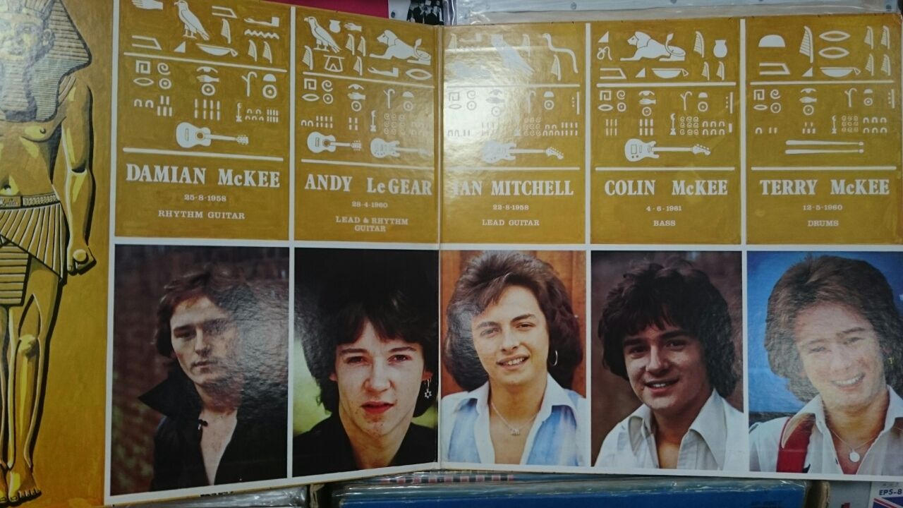 Free As A Bird フリー アズ ア バード 柏 中古レコード店 バースデーのブログ