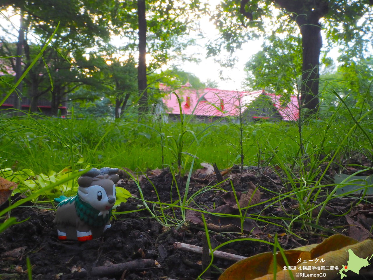 メェークル 札幌第二農場 リアルポケモンgo