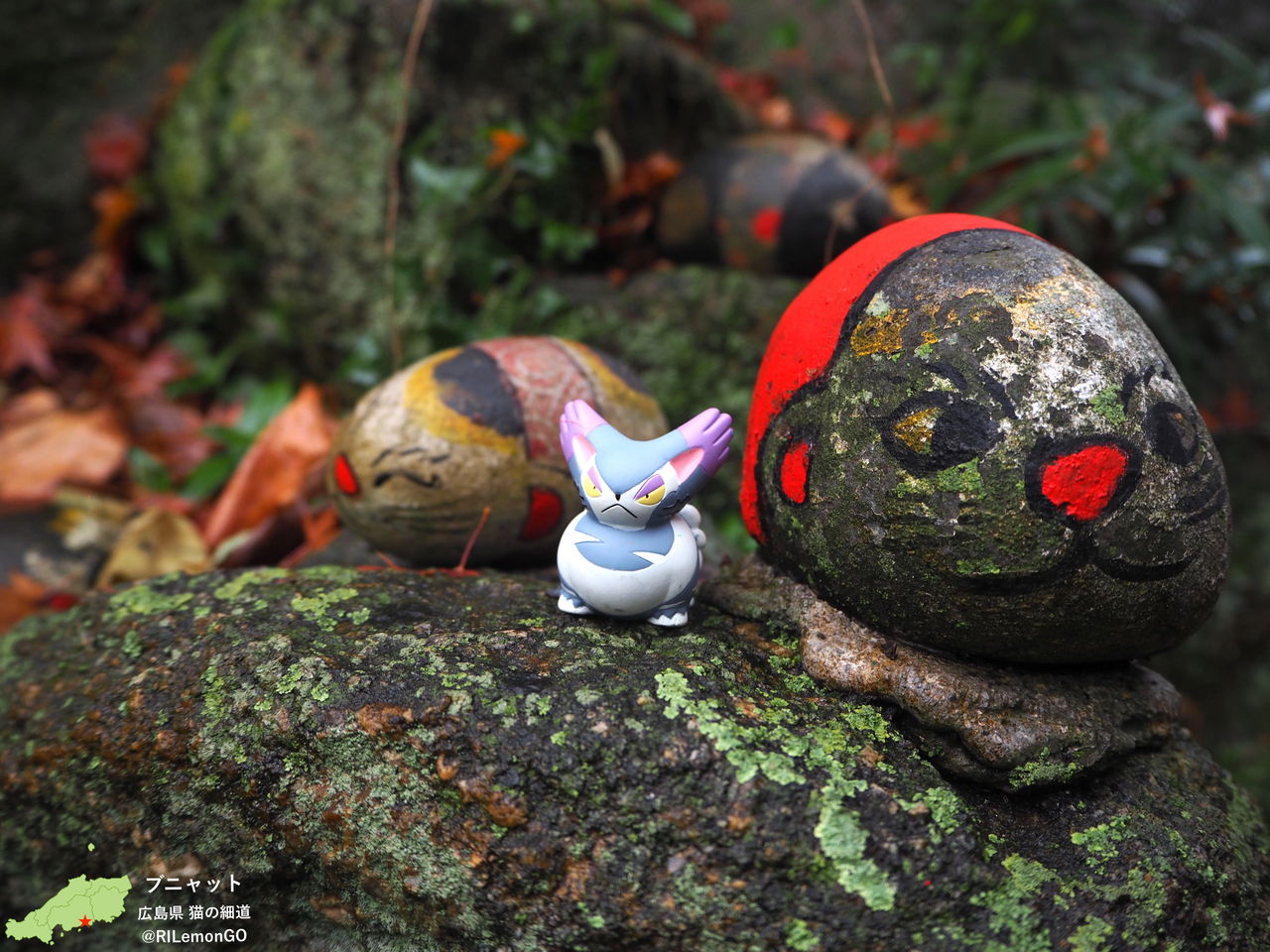 ブニャット 猫の細道 リアルポケモンgo