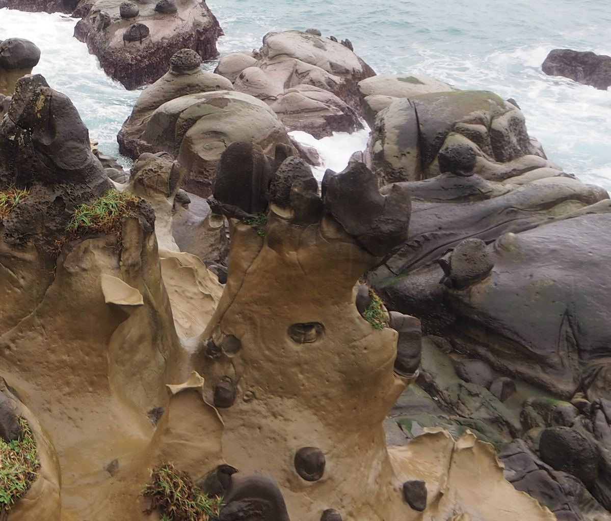 カメテテ 和平島 リアルポケモンgo カメテテ 和平島 リアルポケモンgo