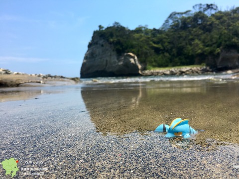 ウデッポウ1