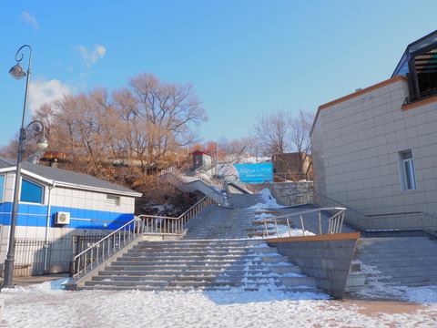 P2076804