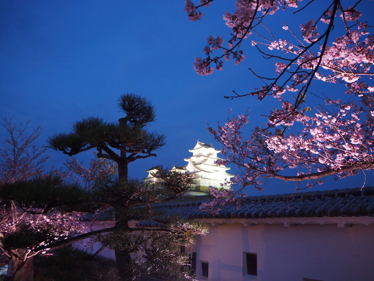 チェリム 姫路城 リアルポケモンgo