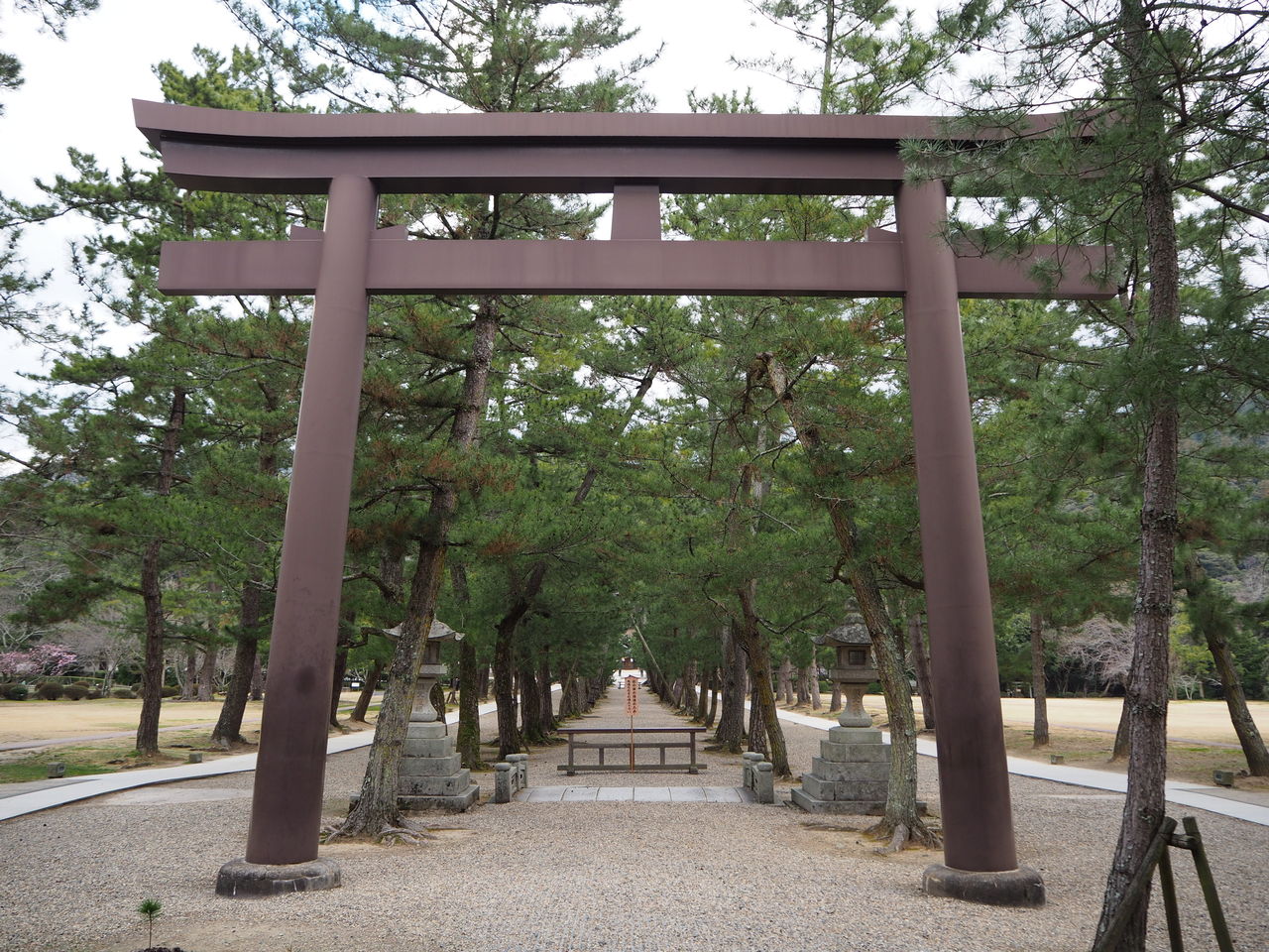 リーシャン 出雲大社 リアルポケモンgo