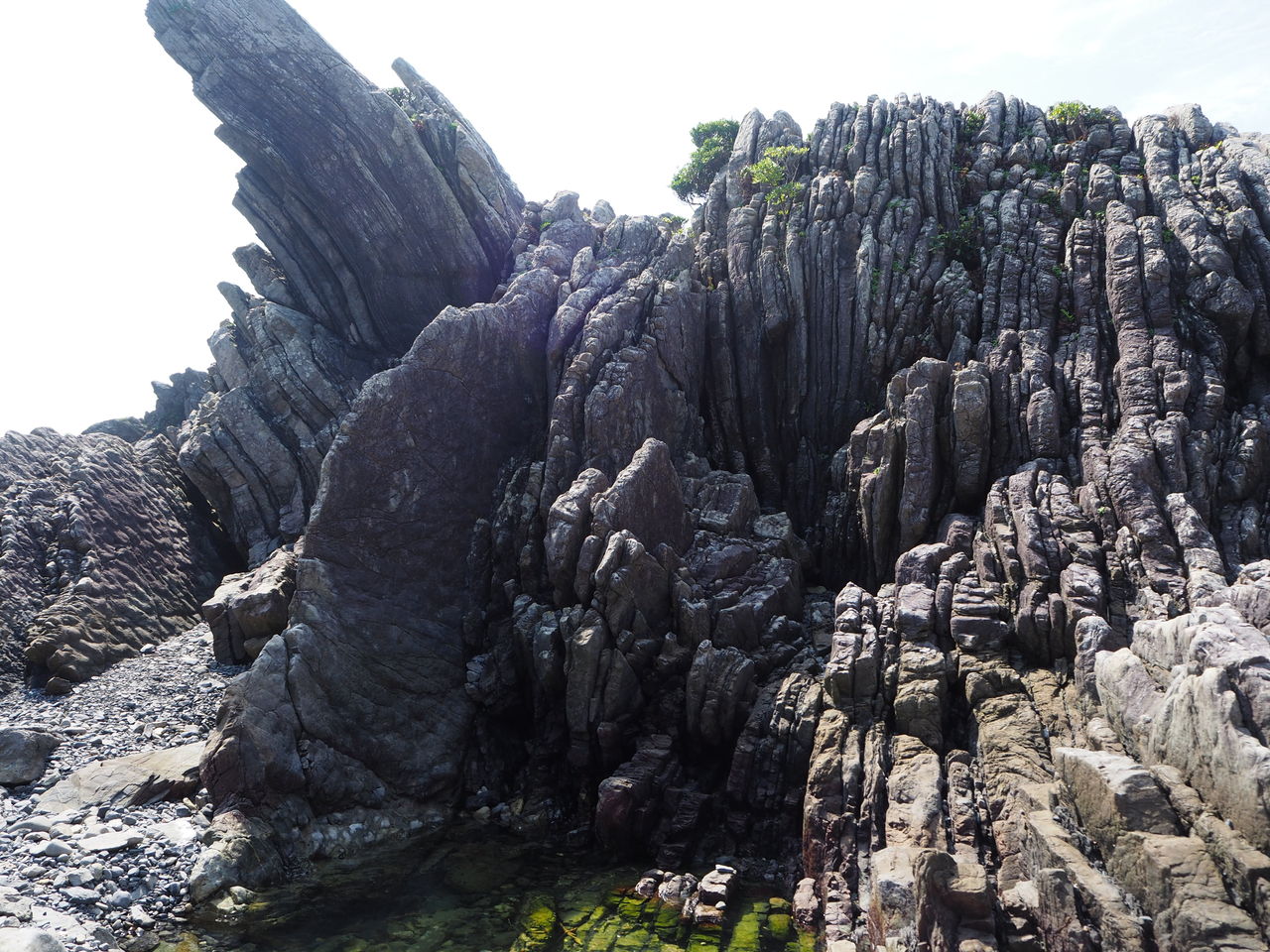 サイホーン 室戸岬 リアルポケモンgo