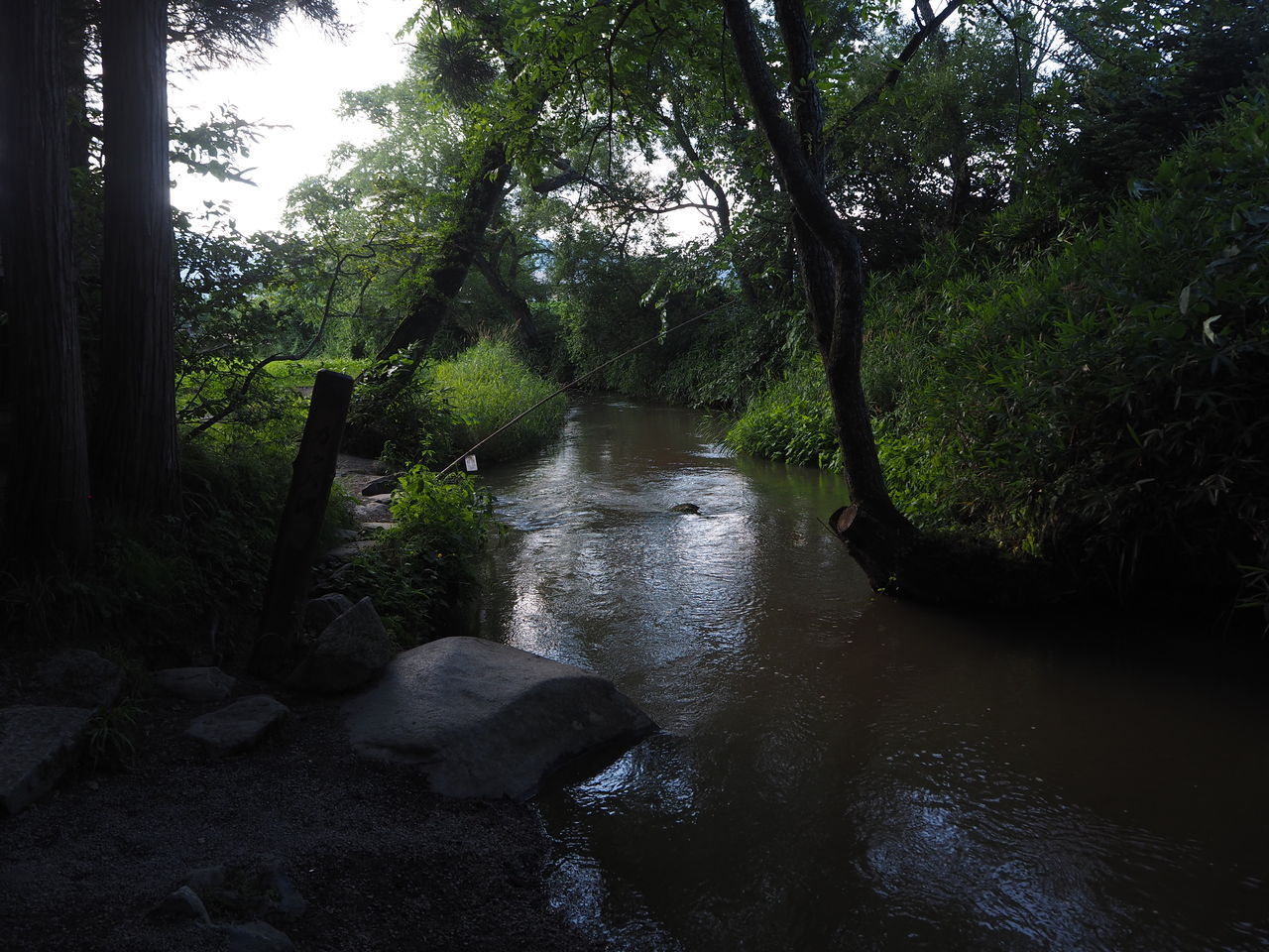 ハスブレロ カッパ淵 リアルポケモンgo