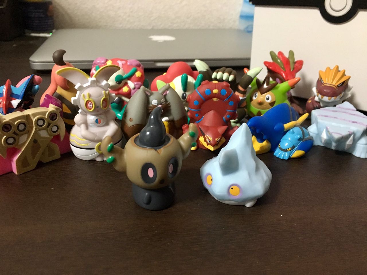カチコール アムール湾 リアルポケモンgo