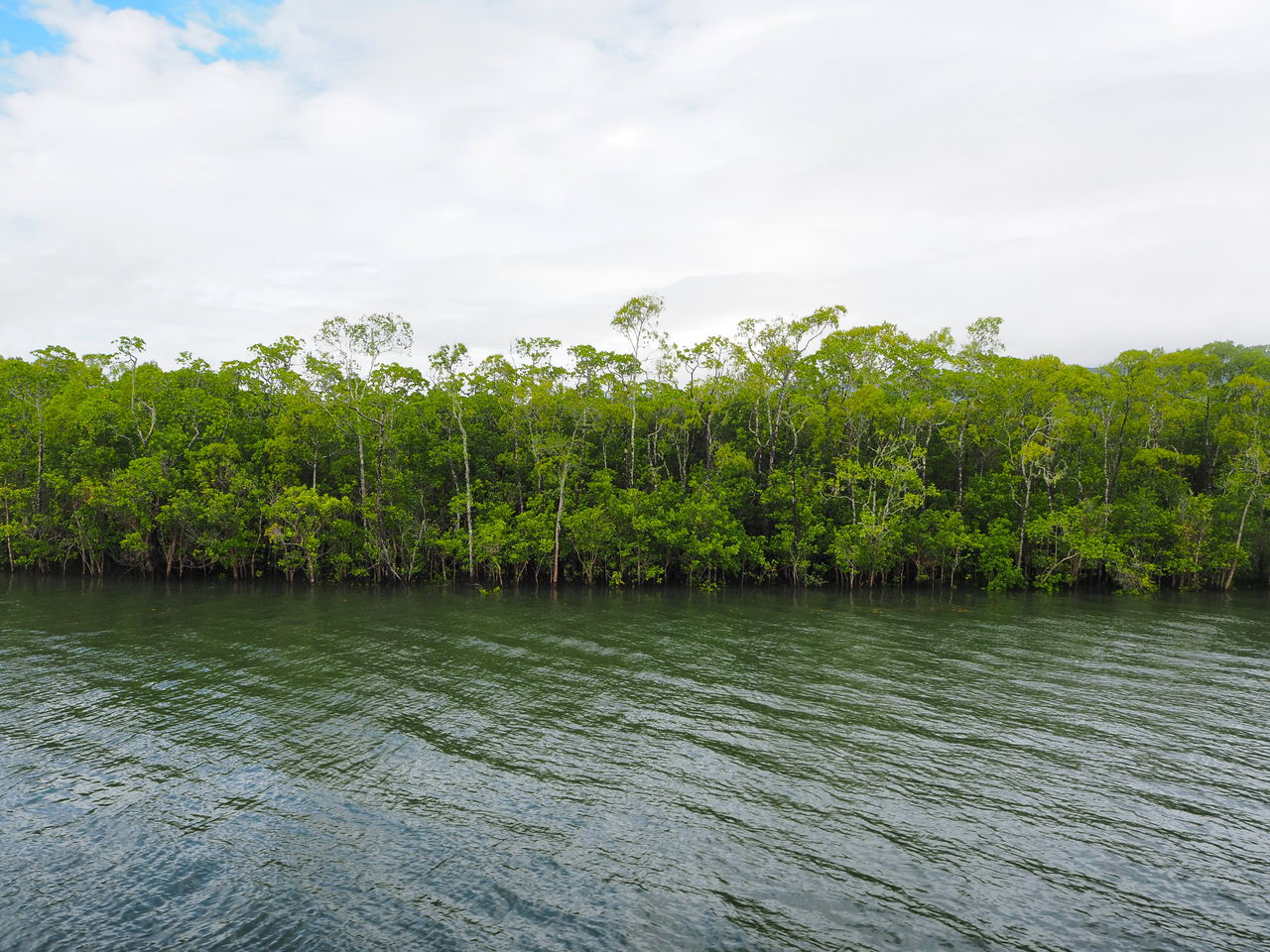 ケイコウオ フランクランド諸島 リアルポケモンgo ケイコウオ フランクランド諸島 リアルポケモンgo