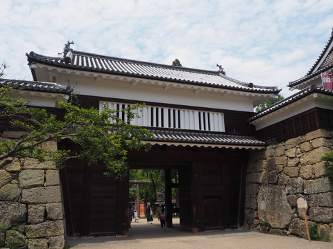 P8036532